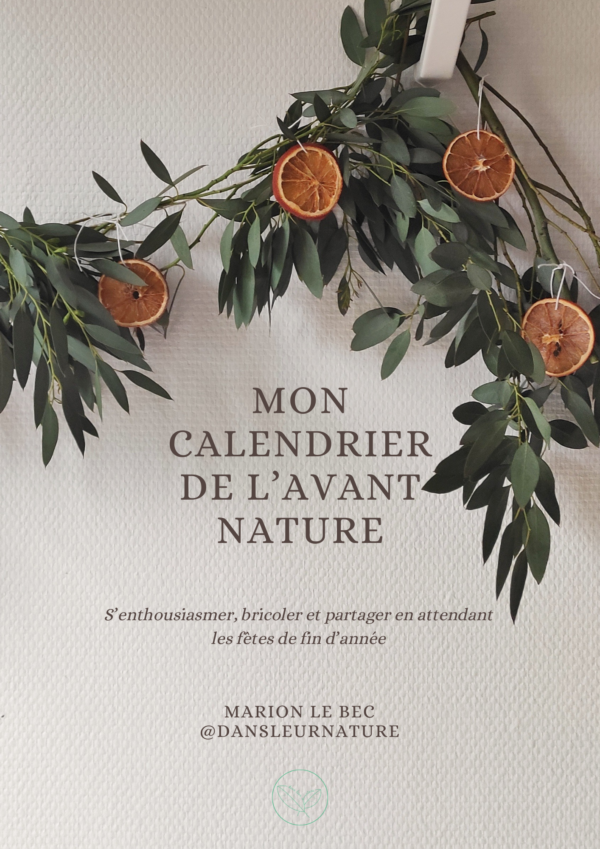 couverture e-book calendrier de "l'avant" nature